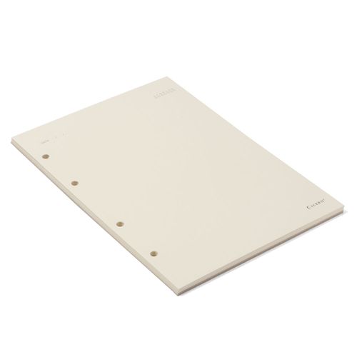 Refil Caderno Argolado 40FLS Polen 80g 17x24 Sem Pauta
