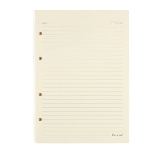 Refil Caderno Argolado 40FLS Polen 80g 17x24 Pautado