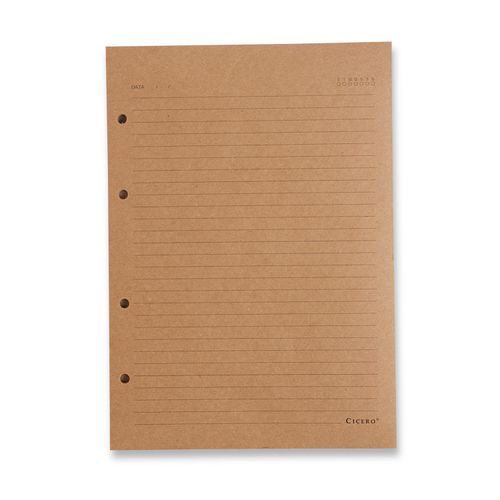 Refil Caderno Argolado 30FLS Kraft 75g Pautado 17x24