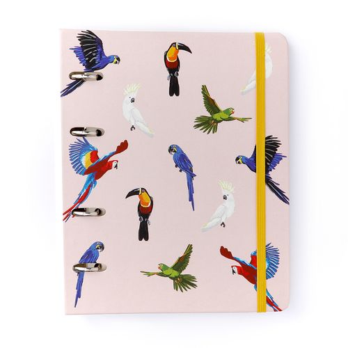 Caderno Criativo Argolado Office Duo Pássaros Pautado & Pontado A5 Espécies Rosa