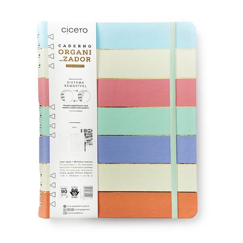 Caderno Organizador Duo Pastel Block Sport Pautado & Pontado 17X24 Listras