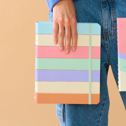 Caderno Organizador Duo Pastel Block Sport Pautado & Pontado 17X24 Listras