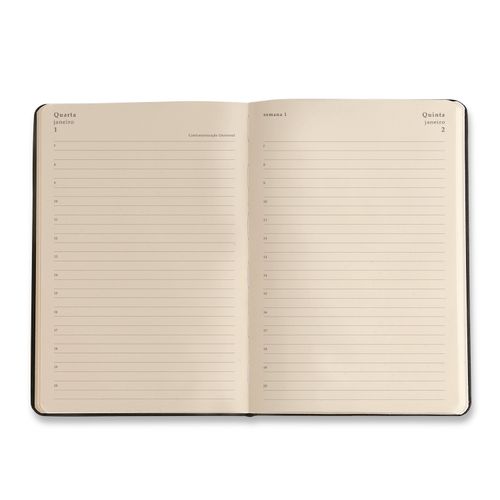 Agenda Planner 2025 Kraft Diária 14x21 Flores Max