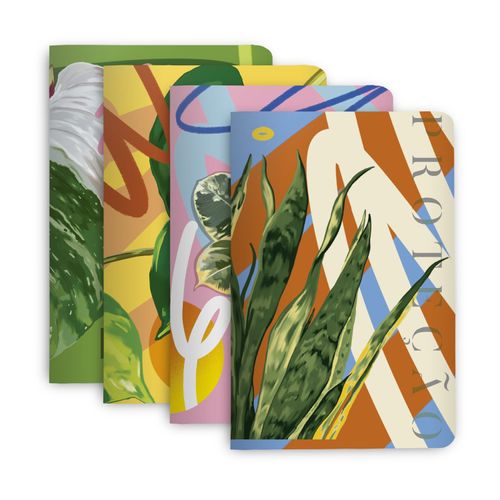 Kit de 4 Revistas D@.Vez 14x21 - Bruno Pedriali