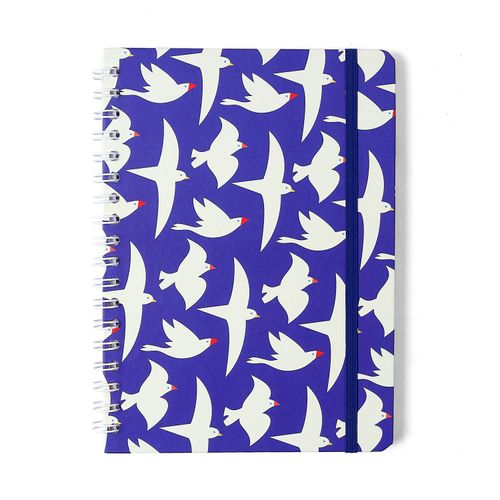 Caderno Espiral Colegial Litoral Pautado 17X24 Revoada Azul 1 Matéria 80 Fls
