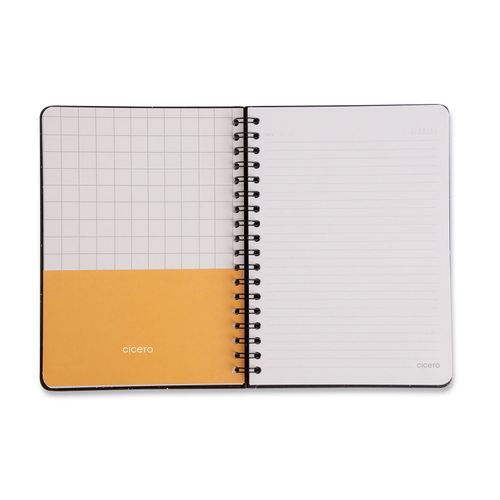 Caderno Espiral Colegial Litoral Pautado 17X24 Revoada Azul 1 Matéria 80 Fls