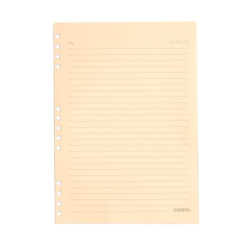 Refil Caderno Organizador 40 Fls Pólen 90G Pautado 17X24