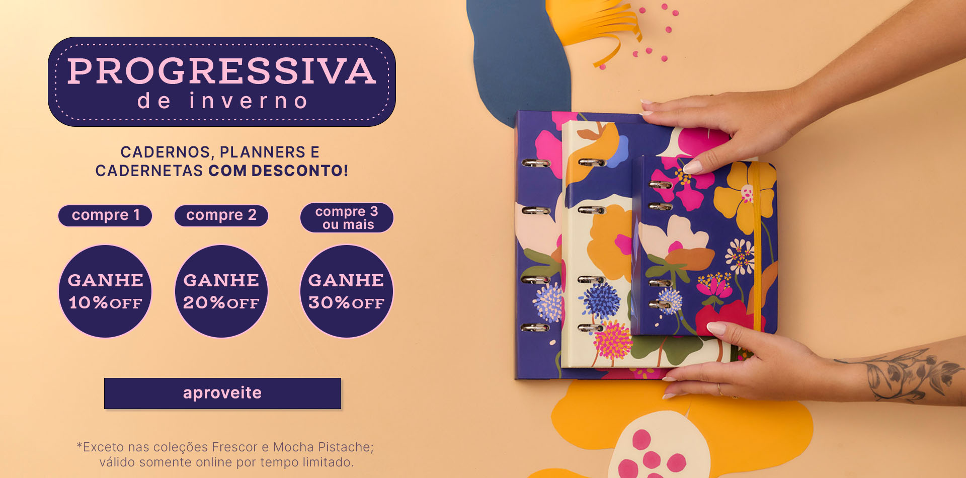prog de inverno​